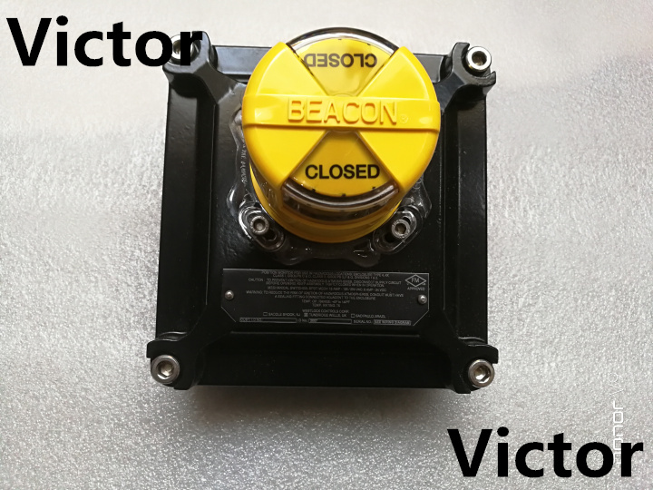 德國(guó)Stuewe聯(lián)軸器